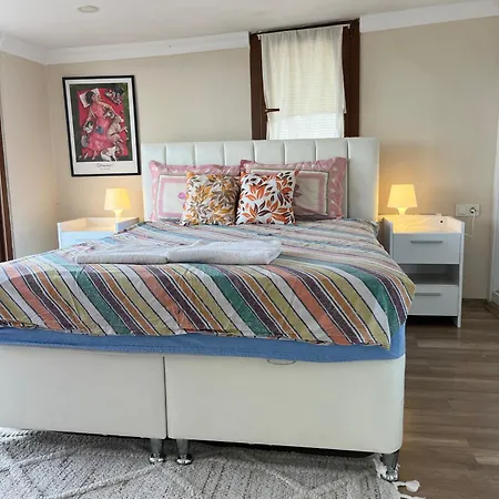 In A House With Sea View In Historical Elevator Mansion